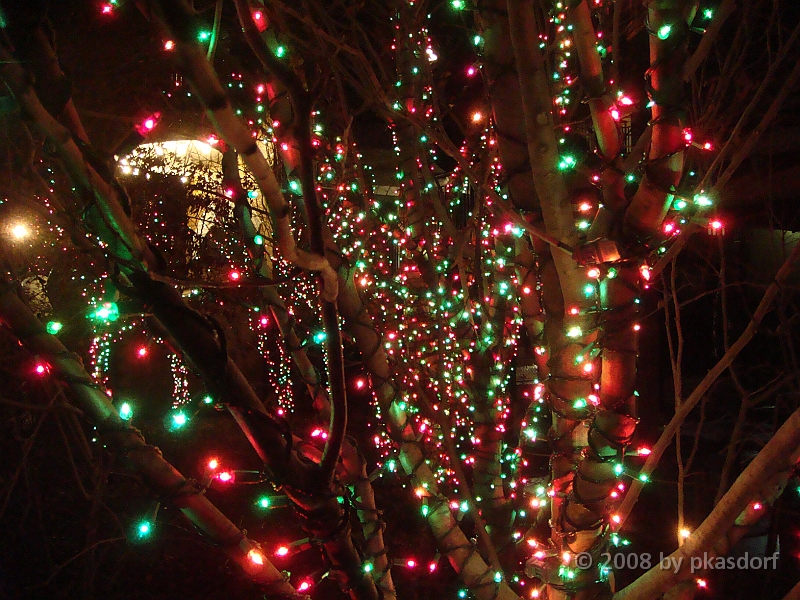 014 Toledo Zoo Light Show [2008 Dec 27].JPG - Scenes from the Toledo Zoo Light Show.